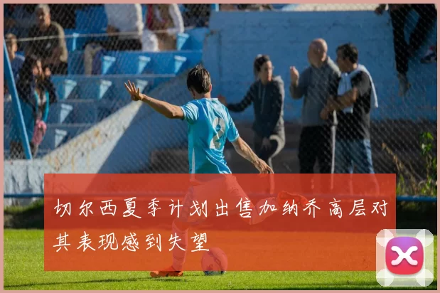 切尔西夏季计划出售加纳乔高层对其表现感到失望
