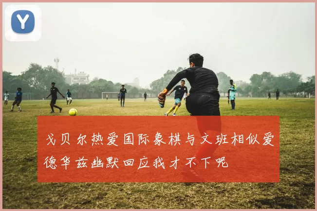 戈贝尔热爱国际象棋与文班相似爱德华兹幽默回应我才不下呢
