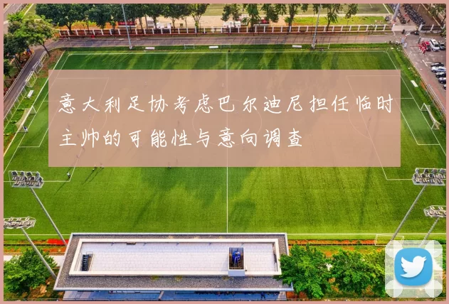 意大利足协考虑巴尔迪尼担任临时主帅的可能性与意向调查